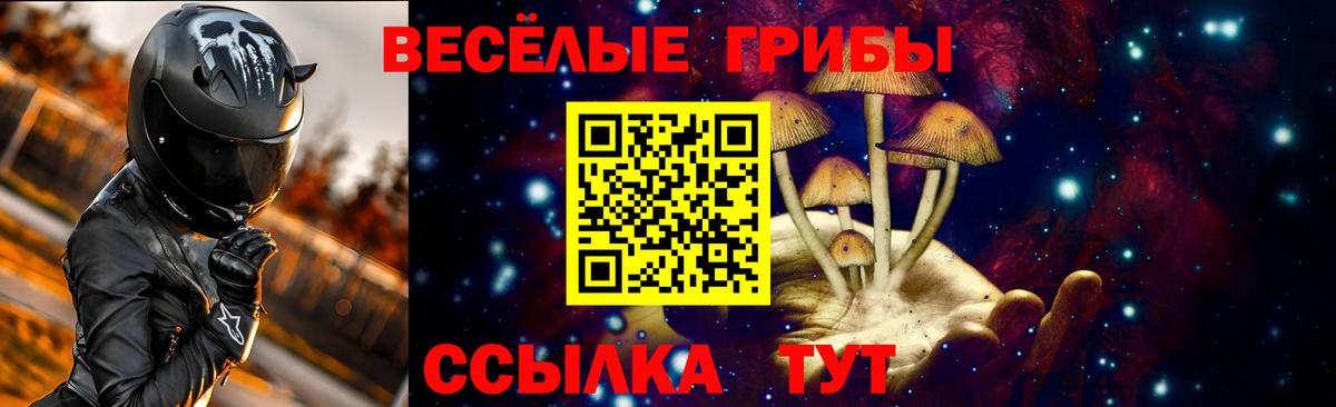 Канаш  Галлюциногенные грибы Magic Shrooms  Вход с VPN 